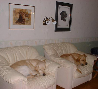 Saga & Selma