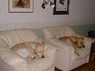 Mor & dotter