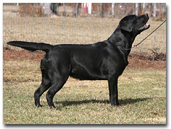 Lillimar�s Take My Breath Away